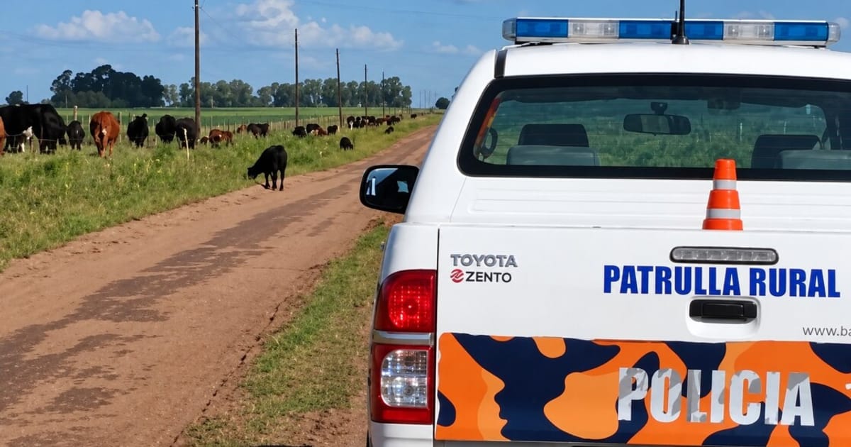 San Pedro: desvalijan un campo y faenan siete animales en cercanías de Villa Sarita