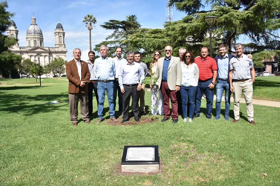 80º años del CECOINSE
Plantaron un roble, descubrieron una placa conmemorativa y por la noche brinda