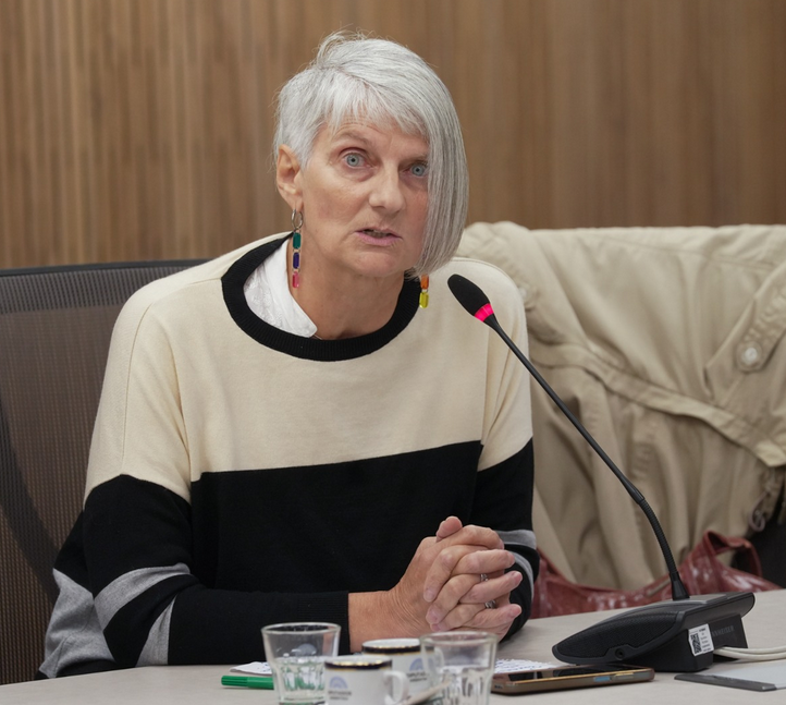 “La situación se agrava para las personas con discapacidad y además, con esta nueva Ley pretenden imponer otra vez auditorías que resultan inaccesibles"