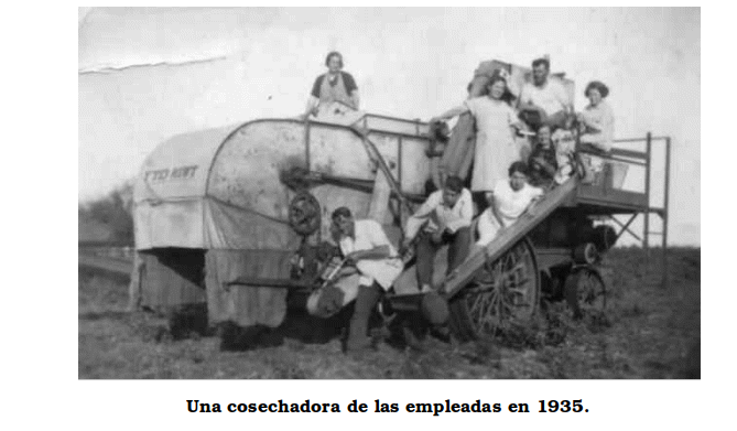 EL CULTIVO DEL TRIGO EN CHIVILCOY (1850-1940) 4ª Parte