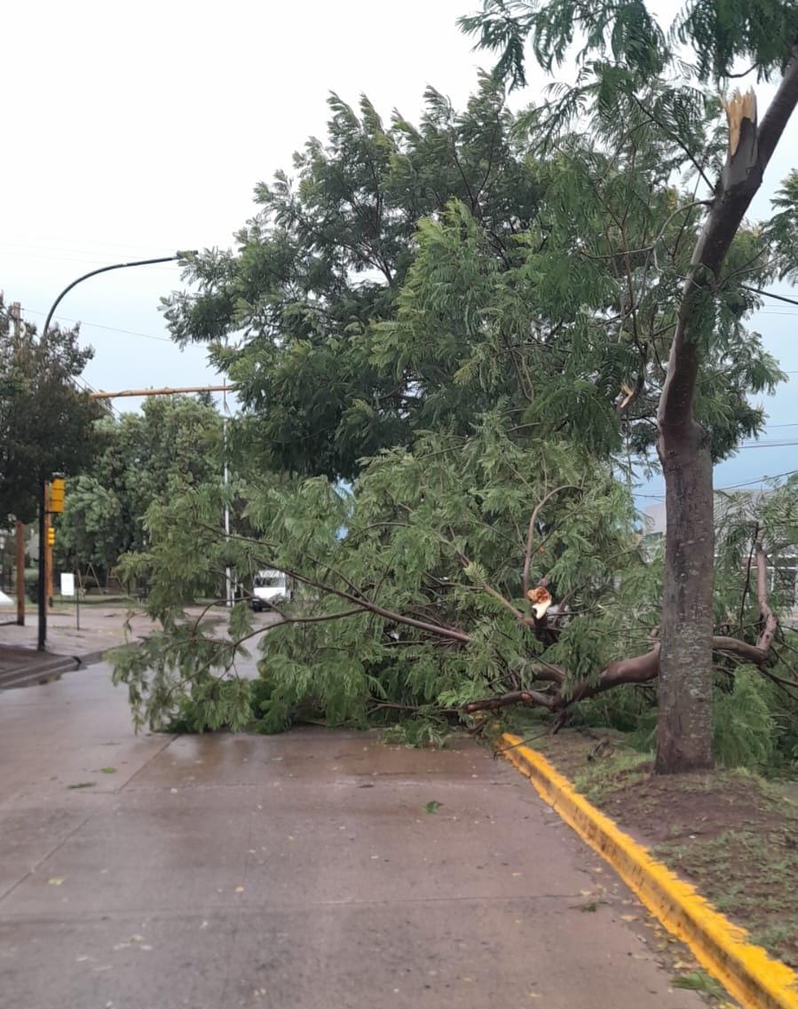 Corta pero intensa caída de agua con fuertes ráfagas de viento, generaron inconvenientes en la ciuda