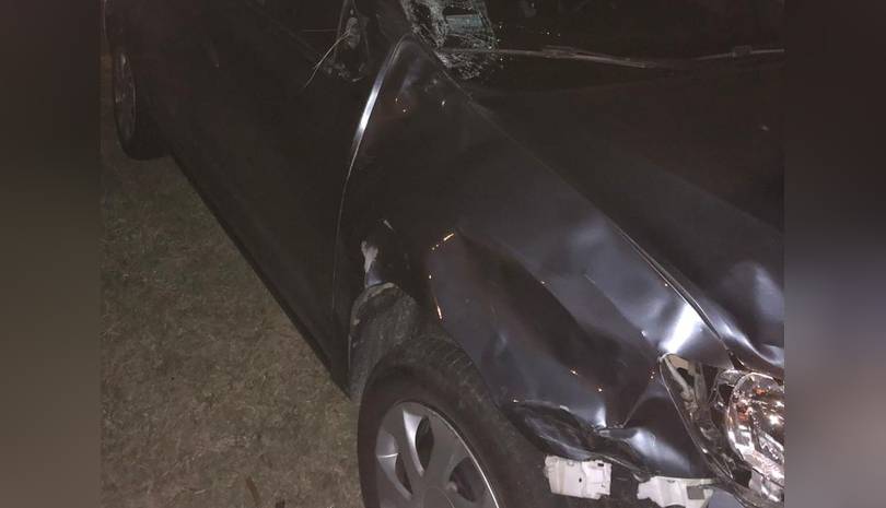 En Ruta Provincial Nº 30 un automóvil colisionó contra una vaca