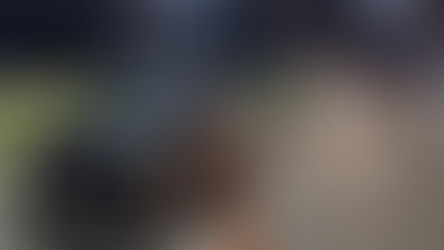 Interceptación de vehículos cuyos ocupantes transportaban estupefacientes