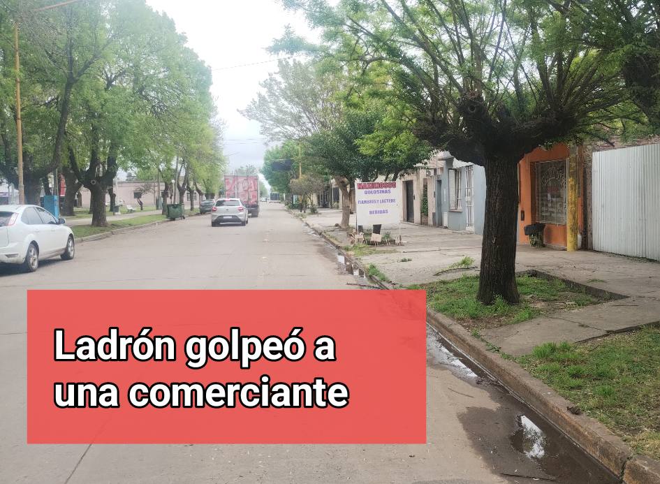 Chacabuco: ladrón agredió a una comerciante durante un robo en su local