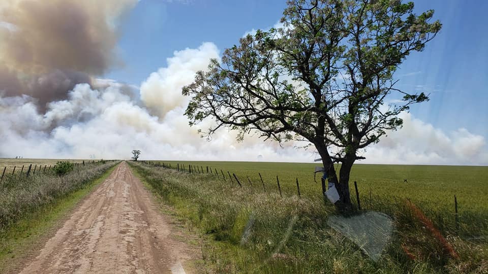 Lunes con más incendios forestales en nuestro distrito