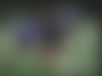 Vélez de Mercedes se refuerza para el Federación Norte