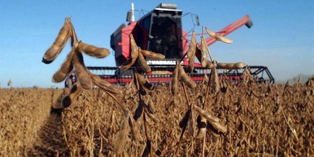 Finaliza la cosecha de soja registrando rinde record