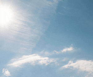 EDEN_Banners ATME_300x250.gif