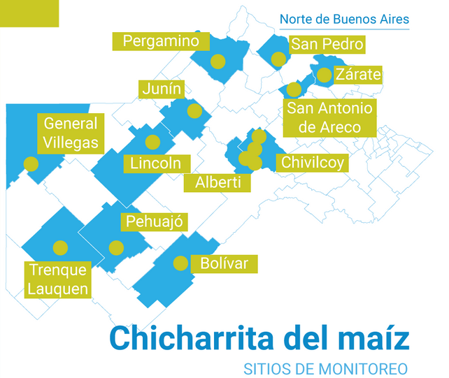 “El desarrollo del año será fundamental, si hay poco maíz en el norte ‘la chicharrita’ no llegará migrando al carecer de alimento para poder reproducirse”
