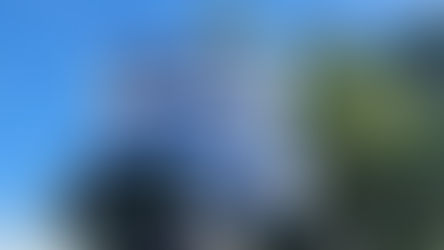 Memoria por la Verdad y la Justicia