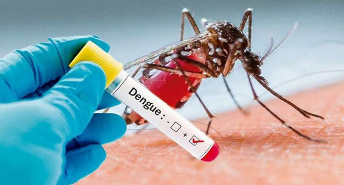 Son 26 los distritos que presentan brotes de la enfermedad que transmite el mosquito Aedes aegypti. en Chivilcoy 2 casos confirmados.