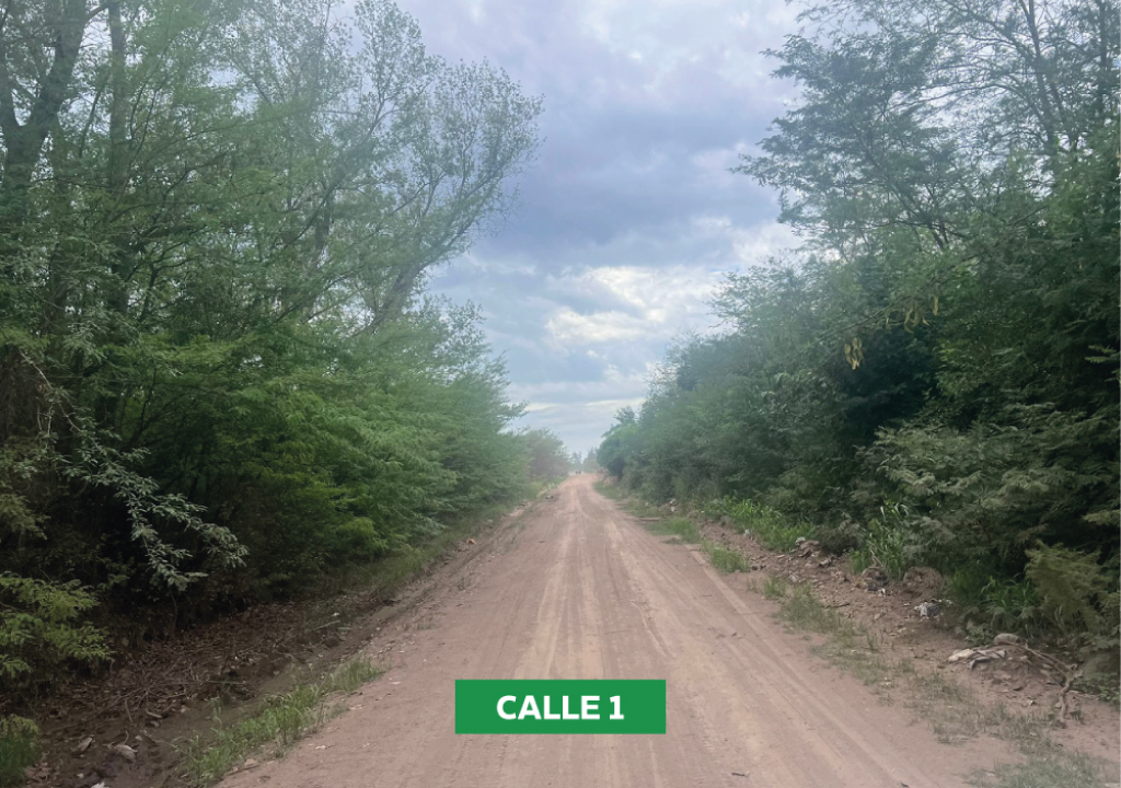 “El municipio va a trabajar arduamente en la limpieza de cada uno de los microbasurales"