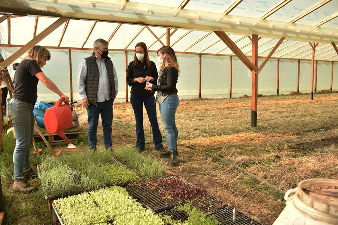 La Eco Huerta funciona en el invernadero que está situado en tierras cedidas por el Hogar ‘Lauhirat’