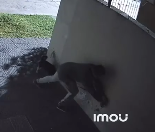 Un delito que llegó a Chivilcoy: el “Te roban hasta las canillas”, de una expresión a una realidad.
