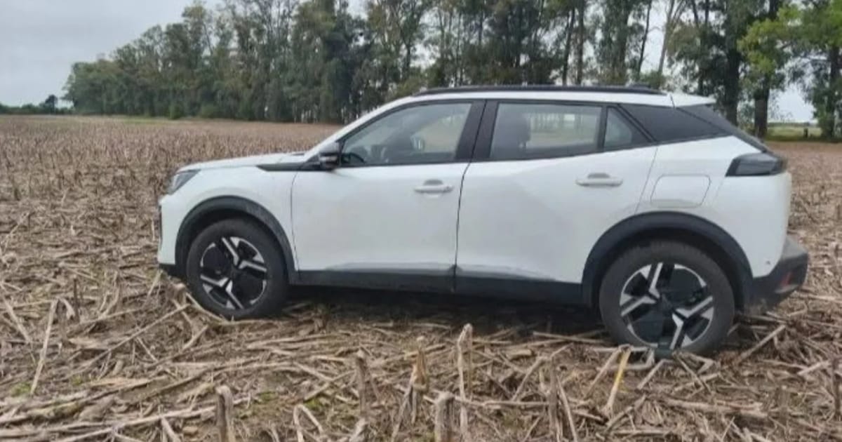 San Pedro: violento asalto a un matrimonio en un vivero cerca de la Ruta 9