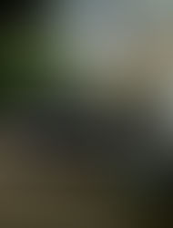 Esclarecieron una estafa por intercambio de vehículos y recuperaron un rodado que ya fue restituido a sus propietarios