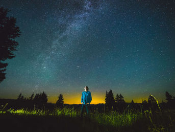 Reaching for Reality—The Rise of Consciousness