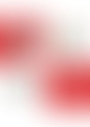 EXPOSITION 111 DES ARTS DE LYON DU 25.11 au 01.12.2025