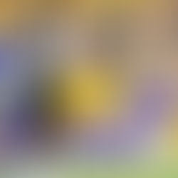 Defense Showed Up, Offense Didn’t: LSU Falls to Alabama