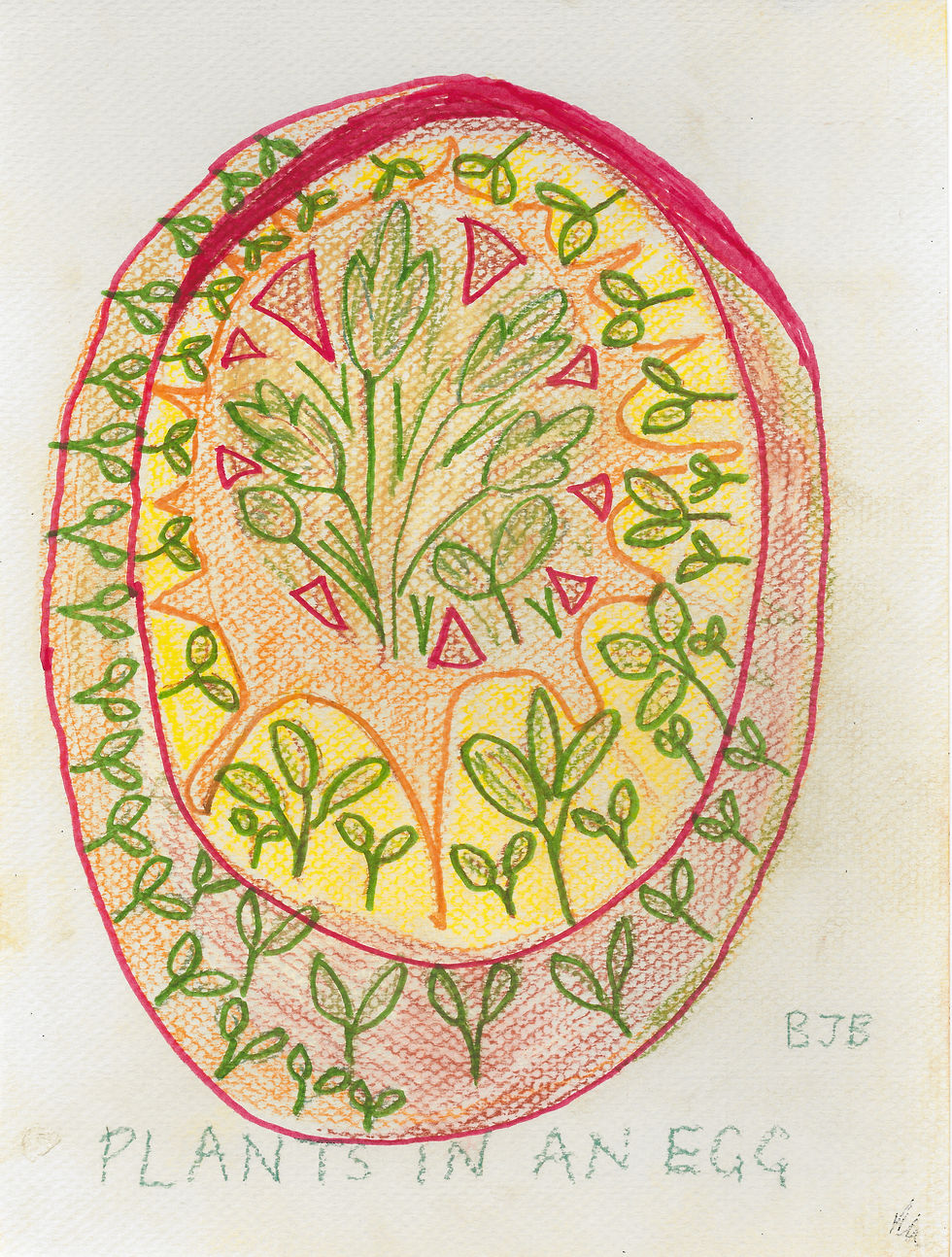 Plants in an Egg.jpg