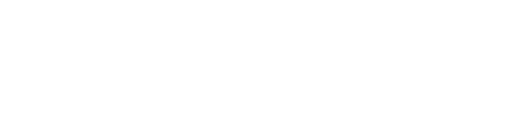 SLS Group