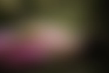 Woman practicing nervous system regulation and self-trust.