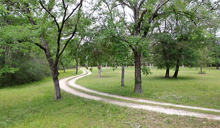 dji_fly_20260320_213802_897_1776279832265_photo.JPG
