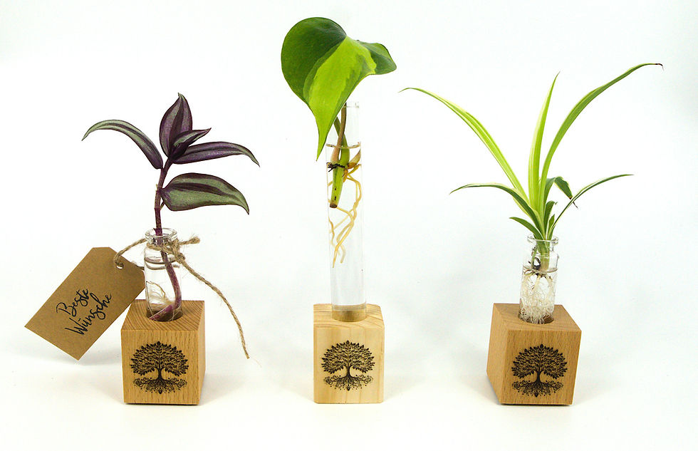 Verschiedene Holzvasen mit eingraviertem Baum des Lebens