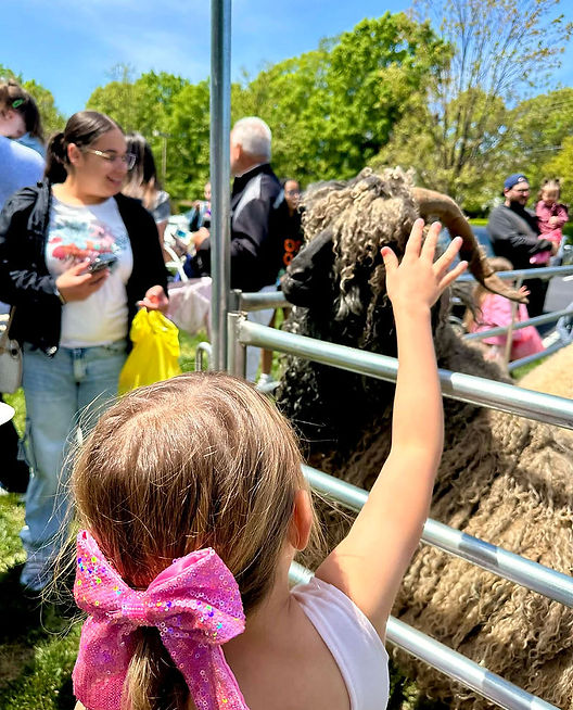 birthday-party-mobile-farm-fun-Haystack-Homestead.jpg