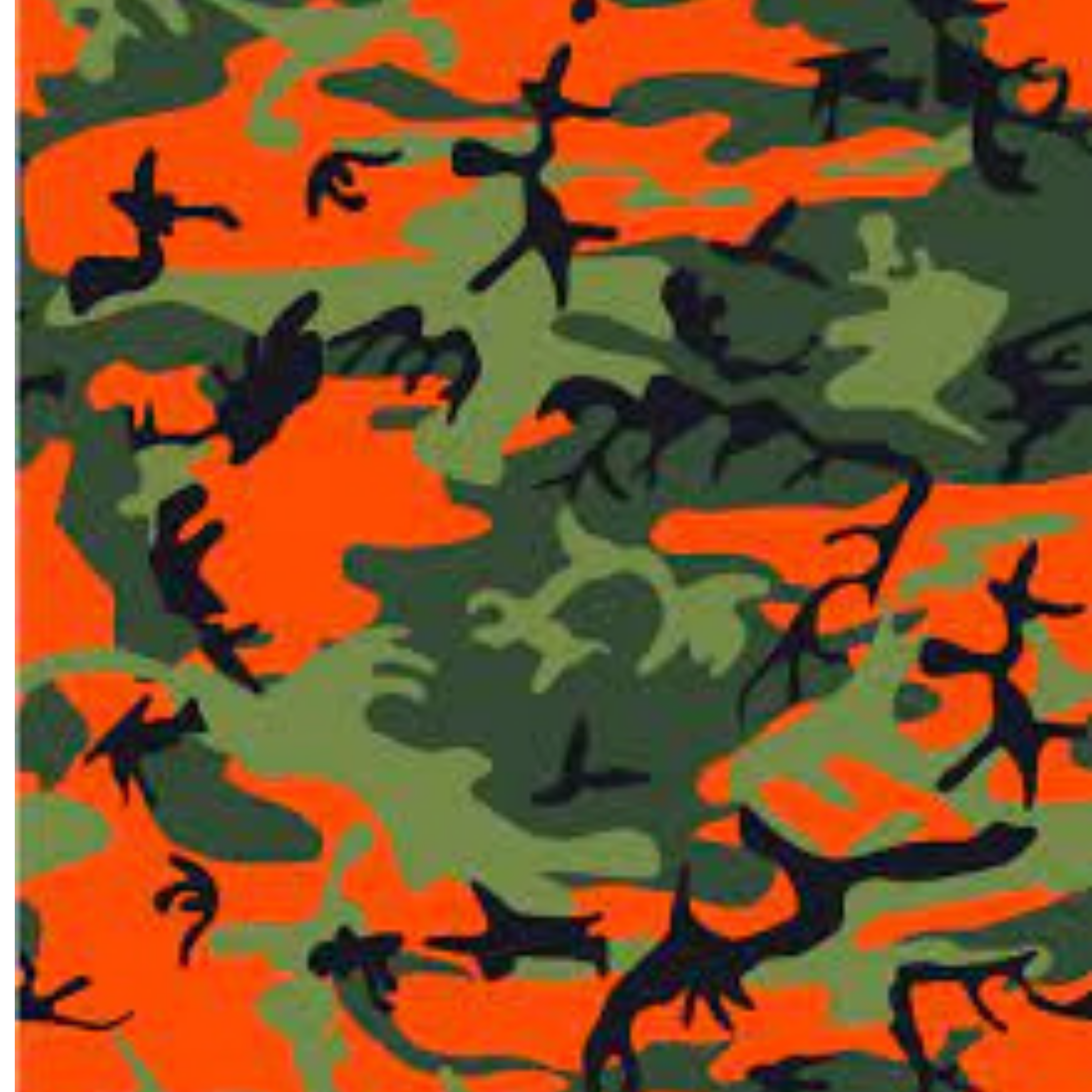 CryptoScapes Orange Camo Print