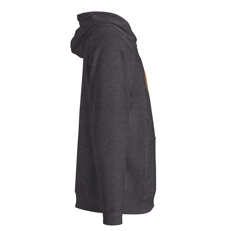 Thumbnail: Bitcoin HODL Hoodie
