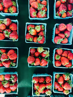 Halsey Farm I Southhampton, NY