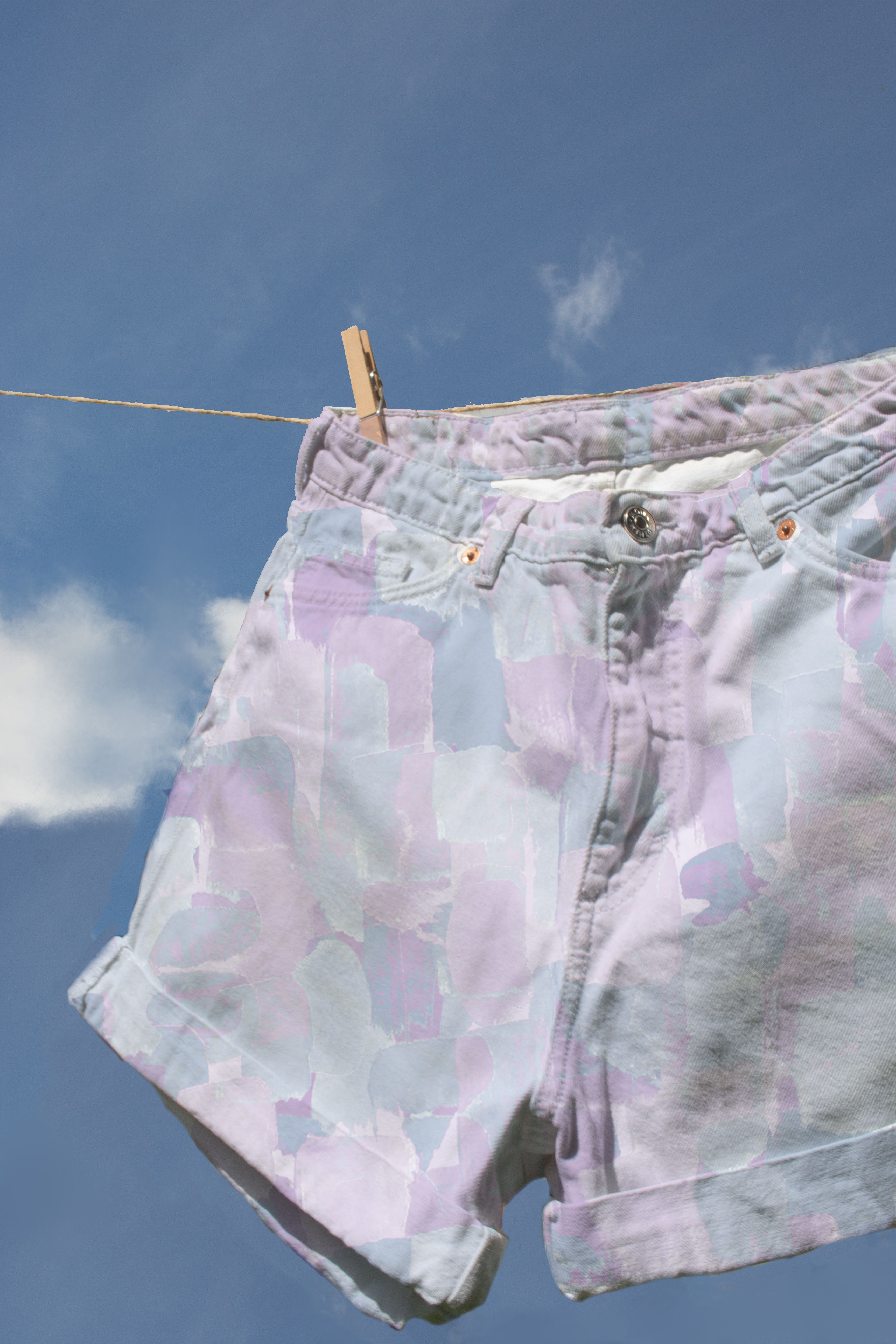 Purple Brush Stroked Shorts