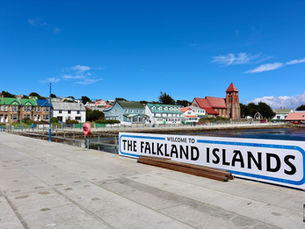 King penguins on the Falkland Islands shore during Premium Penguin Tours