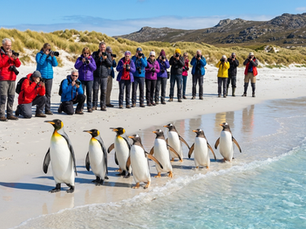 he Ultimate Falklands Wildlife Checklist