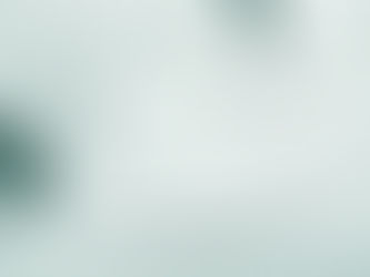 Simplify Your Document Signing with Notary Needz in Crestwood, IL