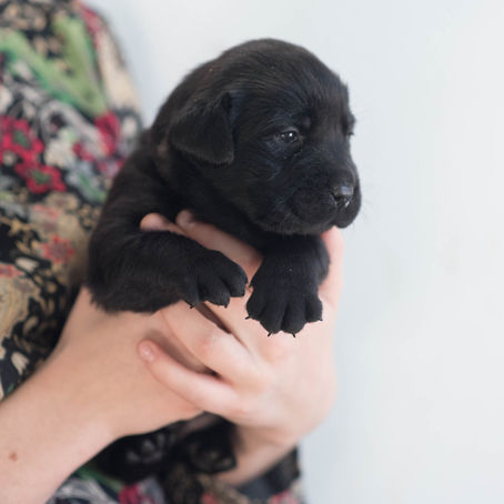 Three Weeks!