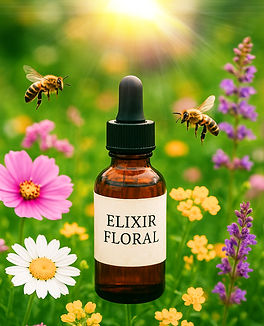 1000060380 flor(1024×1536)_edited.jpg