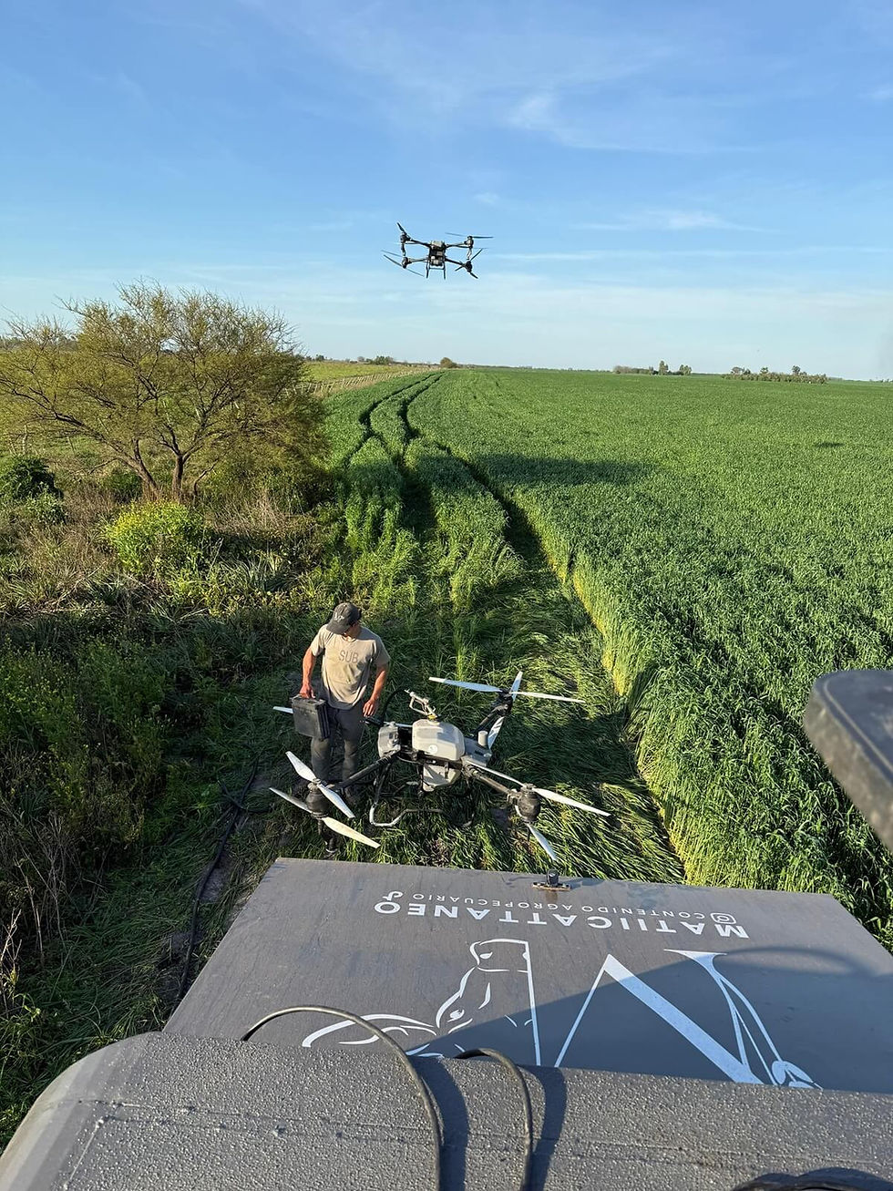 Drone-en-vuelo01.jpeg
