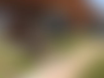 Campus Art Evokes Conversation and Contemplation