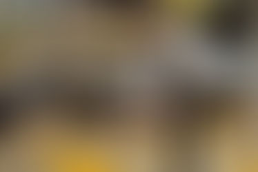 NCS Champion Winter Sports Teams Advance to NorCal Playoffs