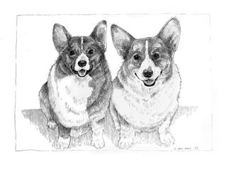 Corgi.png