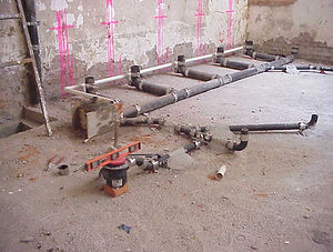 WhatsApp Image 2025-02-13 at 10.42.02 AM.jpeg