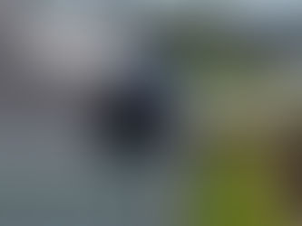 Protect Gutters from Leaves