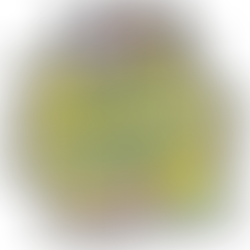 Lucknow is ready to witness the national students summit!