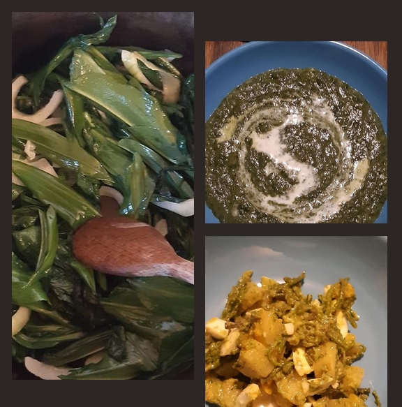 Arranged Food and Objects