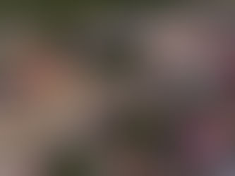 Celebrating Female Entrepreneurship in Lebanon, Ohio