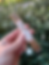 IMG_3727.HEIC