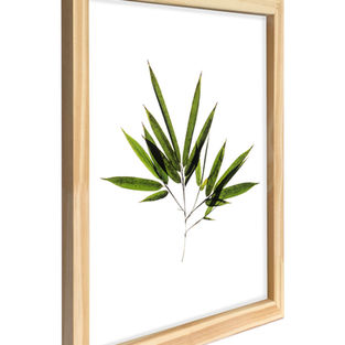 sale navidad, fotografia ioanamenendez , regalos, regala arte , fotografia de autor, regalos .