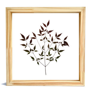 sale navidad, fotografia ioanamenendez , regalos, regala arte , fotografia de autor, regalos .